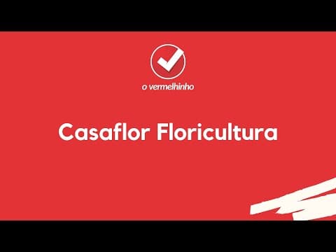 Vídeo
