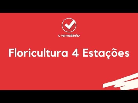 Vídeo