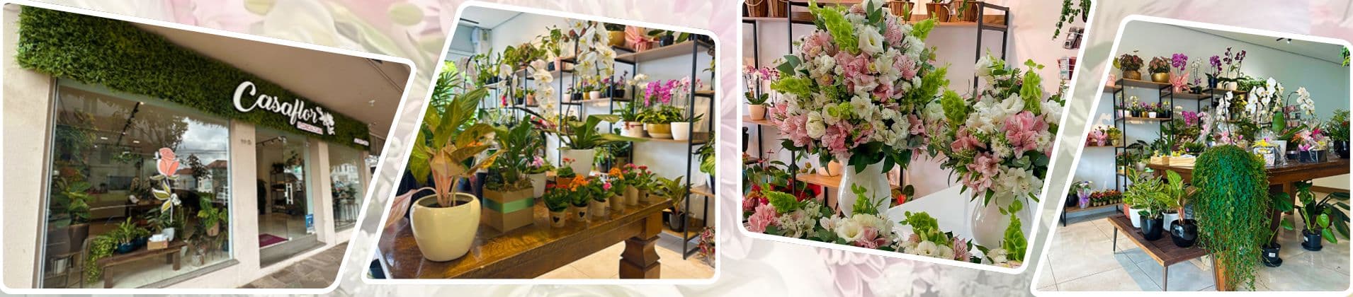 Casaflor Floricultura